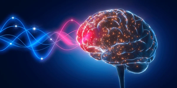 3D illustration of a human brain glowing, representing Theta brainwave activation